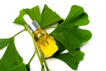 Ginkgo Biloba Leaves