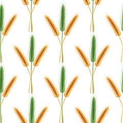 Seamless pattern of ripe spikelets of wheat with grains,ears and stalks.Realistic illustration of seed plants,organic farming farming.