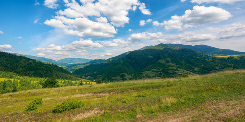 Naklejka na ściany i meble carpathian countryside landscape at high noon. beautiful summer mountain scenery on a sunny day. forested hills and grassy meadows beneath a blue sky with cumulus clouds