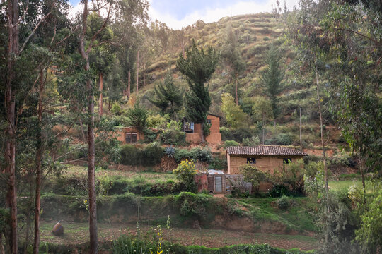 A simple rural Landscape in Tarma. A peasant seeks for seeds in the land. Morning in the countryside. Junin, Peru