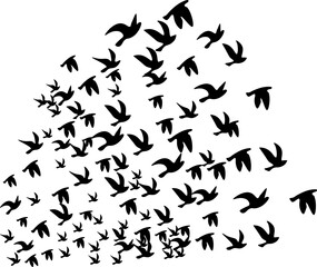 Fototapeta na wymiar Herd of birds symbol, transparent backgrounds