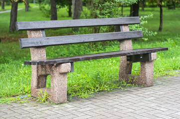 Fototapeta premium Wooden bench in the city park. Garden Bench in park with trees.