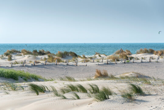 Plages, dunes et syst&egrave;me de retenu du sable en mer du Nord &agrave; Dunkerque