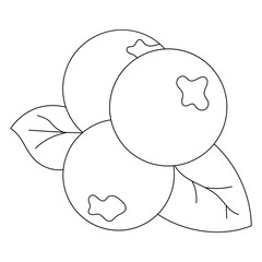 Black and white doodle illustration of blueberries with transparent background