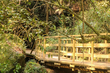 wooden bridge over the river