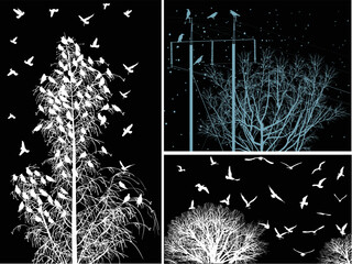 birds above trees bare branches on black background