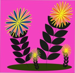 Various colorful flowers with foliage and black background, for wallpaper