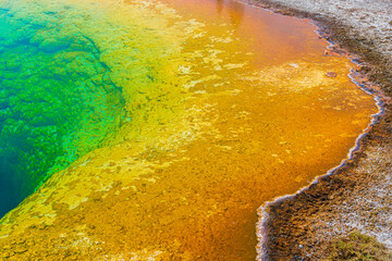 Yellow Stone National Park