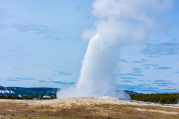 Yellow Stone National Park