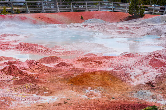 Yellow Stone National Park