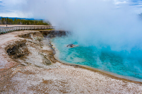 Yellow Stone National Park