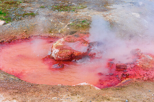 Yellow Stone National Park