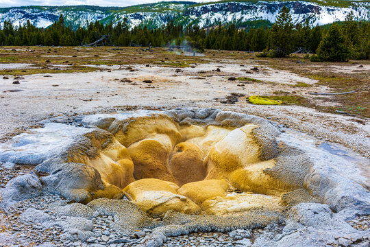 Yellow Stone National Park
