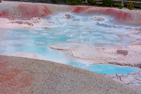 Yellow Stone National Park