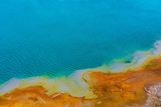Yellow Stone National Park