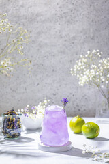 Lavender Gin and Tonic Punch Cocktail. Elegant glass filled with violet cocktail or mocktails