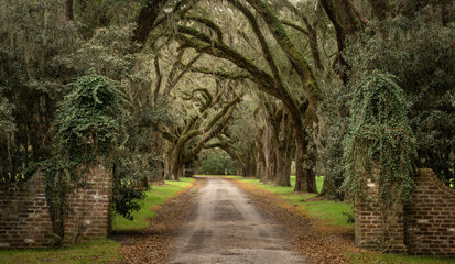 Tree tunnel down a dirt road with brick entrance