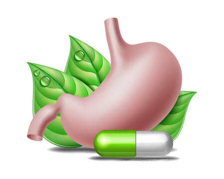 Web Banner With Illustration Of Stomach Protection With Medicine Pills And Green Leaves