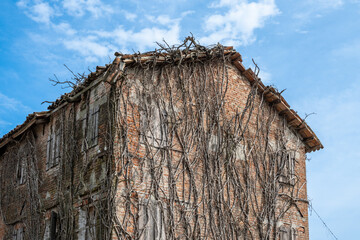 Old building covered with dried branches in Italy