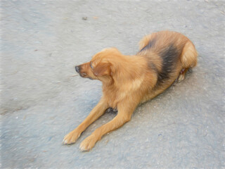 Dog lies