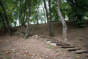 Stairway in the park