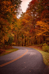 Fall Drive Along the Blue Ridgeway Parkway
