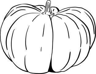 drawn by hand, the picture is a pumpkin from a simple outline 11