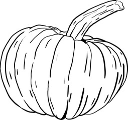 drawn by hand, the picture is a pumpkin from a simple outline 10