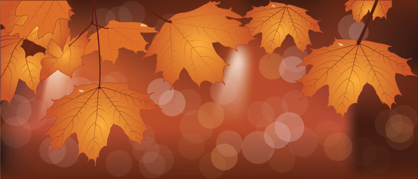 maple leaf red autumn sunset tree blurred background- vector