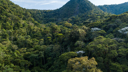 Waterfall in the Atlantic Forest, one of the most biodiverse biomes in the world, which has been reduced to 12% of its original extent in Brazil.