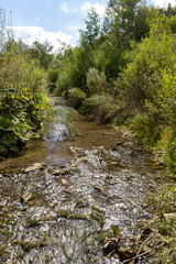 Shallow Subcarpation stream with flowing clear water