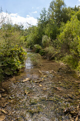 Small river with clear water flowing over pebbles