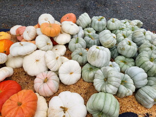 Orange, White, Green Pumpkins on Pile of Grave