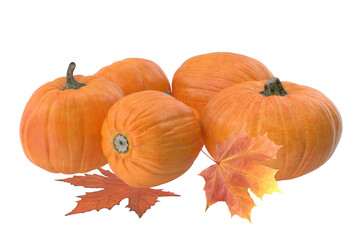 Autumn Pumpkins 