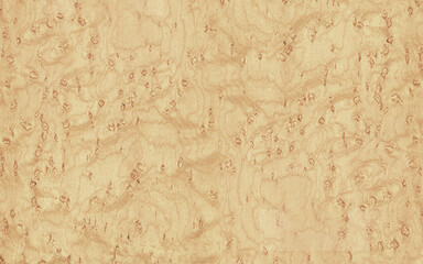 Bleached burl wood texture high resolution