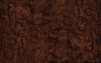 Birdseye maple veneer texture dark brown