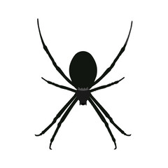 Black spider isolated on white background.Spider icon.Element for Halloween design.Vector illustration