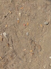 Colillas de cigarrillos en la arena de la playa