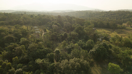 A forest remnant of the Camboatá Forest in the northern part of Rio de Janeiro is home to endemic fish and plants. This region has become a protected area. Rio de Janeiro, Brazil