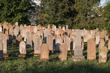 Bardejov, Slovakia. Historical Jewish cemetery with 1288 tombstones from 18th to 20th century.  The rows of graves are separated for women and men.  The tombstones of the rabbis are black.