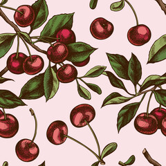 Gardening seamless pattern background design. Engraved style. Hand drawn cherry.