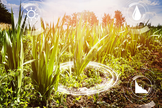 Smart E Farming Digital Technology