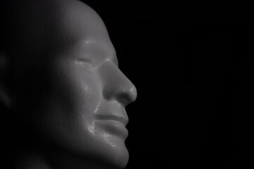 Images of a mannequin head