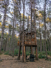 tree house in the forest in a clearing.