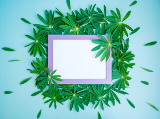 Abstract composition with green leaves and empty pink photo frame. Creative layout of nature. copy space