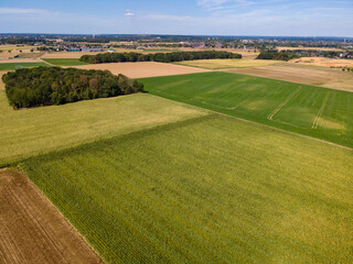 Aerial Flying Over corn, sunflowers, soybean and fields