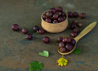 Gooseberries in a bowl on an old surface. leaves and berries of red and green gooseberries. Collect gooseberries. country style.