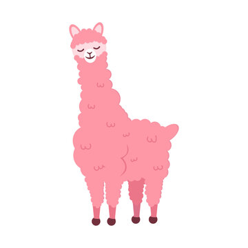 Cute pink lama on a white background. Vector illustration