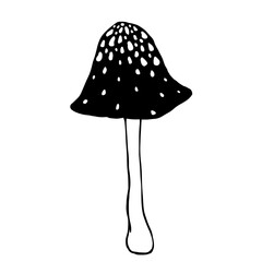 Pale toadstool mushroom.Botanical sketch.Vector graphics.