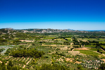 Typical landscape of the Alpille park in France